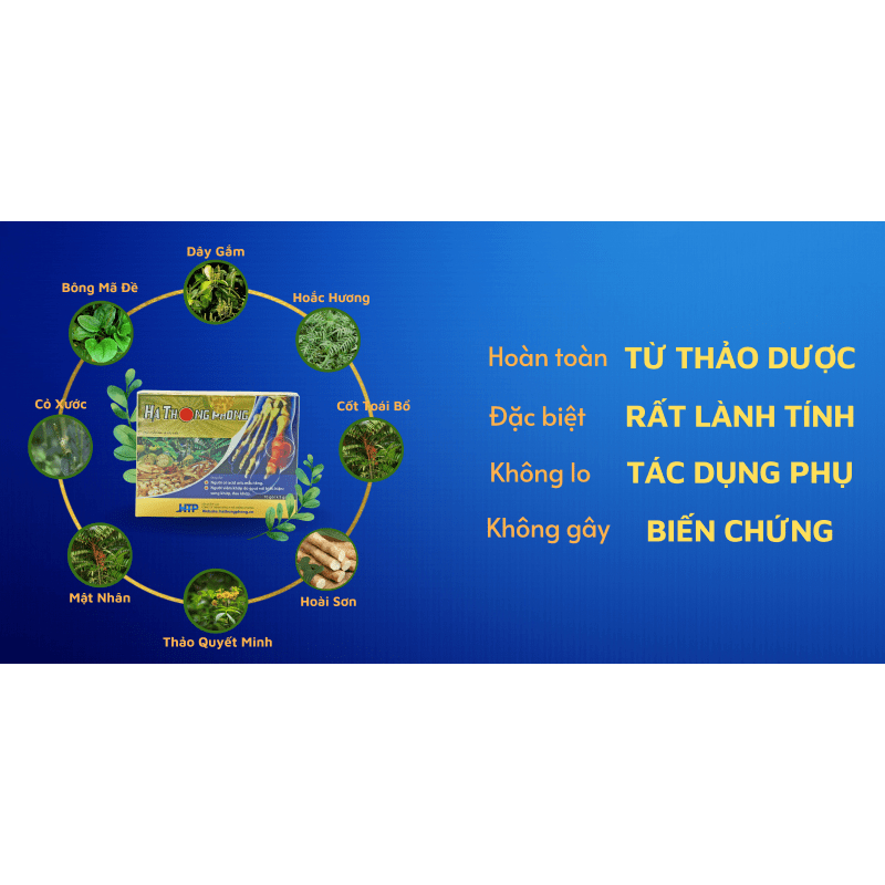 HÀ THỐNG PHONG - XUA TAN NỖI LO VỀ GÚT