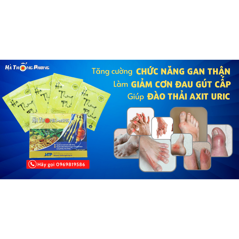 HÀ THỐNG PHONG - XUA TAN NỖI LO VỀ GÚT