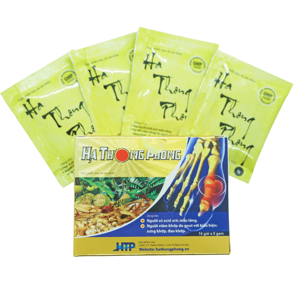 HÀ THỐNG PHONG - XUA TAN NỖI LO VỀ GÚT