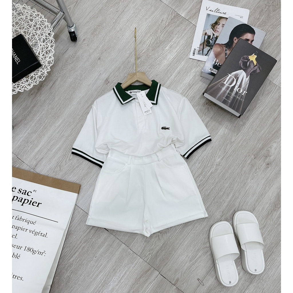 Áo Polo Nữ Cộc Tay Chất Vải Poly siêu mịn mát thiết kế kiểu dáng trẻ trung basic dễ phối đồ A14 | BigBuy360 - bigbuy360.vn