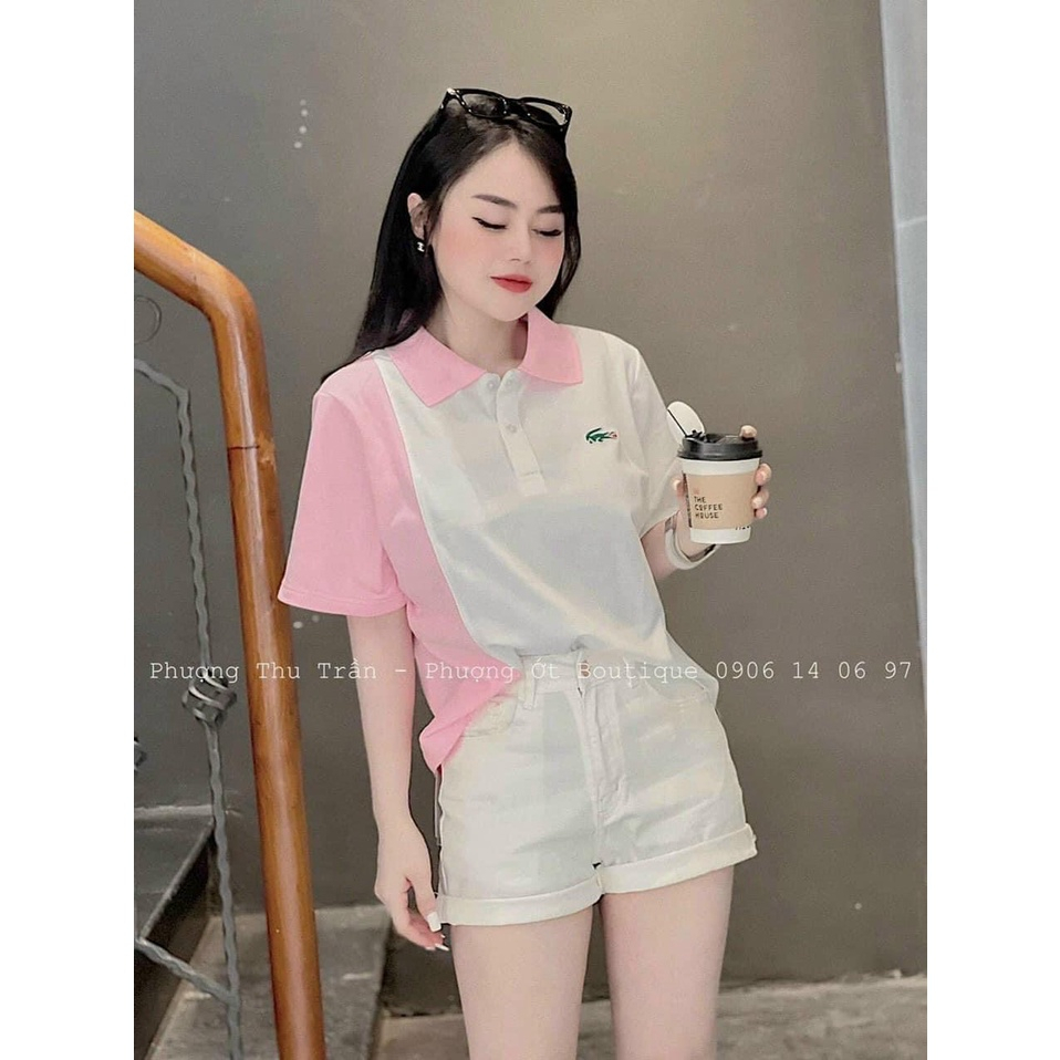 Áo Polo Nữ Cộc Tay Chất Vải Poly siêu mịn mát thiết kế kiểu dáng trẻ trung basic dễ phối đồ A14 | BigBuy360 - bigbuy360.vn