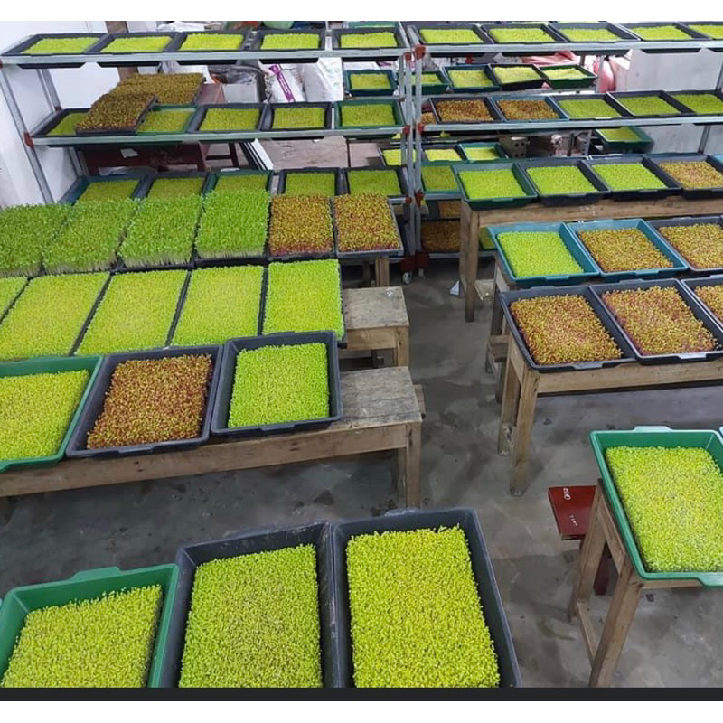 slide