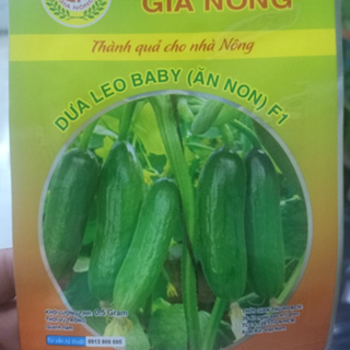 Hạt giống Dưa chuột baby gói 0.5 gram