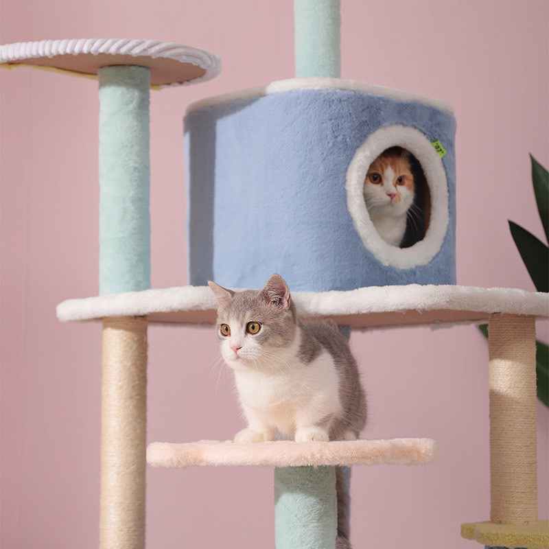 Đồ chơi trụ cào móng cho mèo - Cattree đồ chơi nhà cây cho mèo