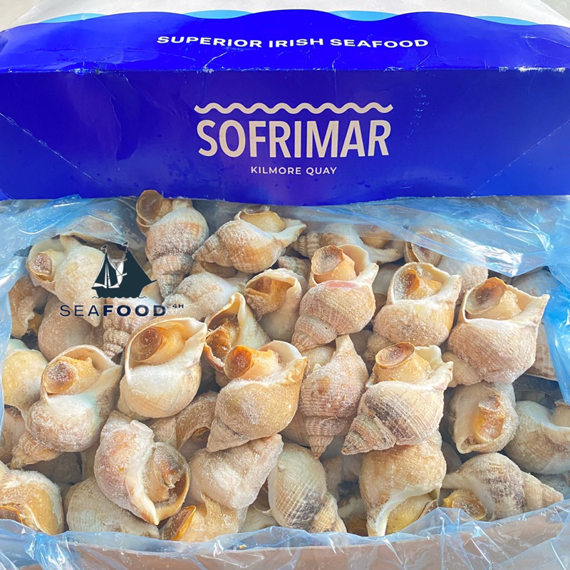 Ốc Bulot Sofrima size 20-30 con/kg, hàng chuẩn chất lượng, thịt ốc ngon và sạch cát.