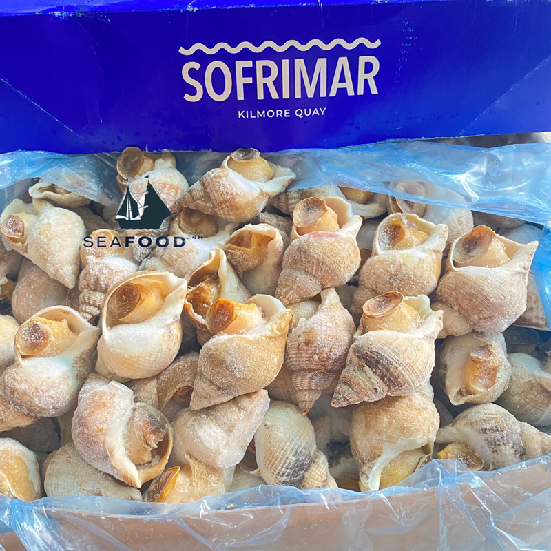Ốc Bulot Sofrima size 20-30 con/kg, hàng chuẩn chất lượng, thịt ốc ngon và sạch cát.