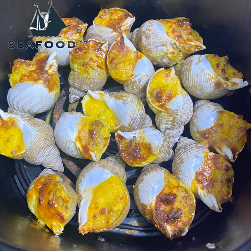 Ốc Bulot Sofrima size 20-30 con/kg, hàng chuẩn chất lượng, thịt ốc ngon và sạch cát.