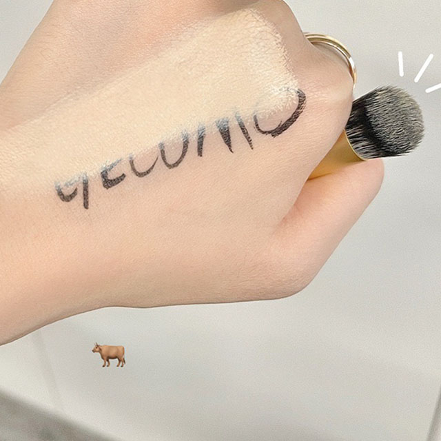 Cọ Che Khuyết Điểm Chuyên Nghiệp Gecomo - G1106
