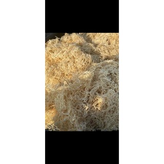 Rong sụn gai khô Quảng Ngãi [200g]