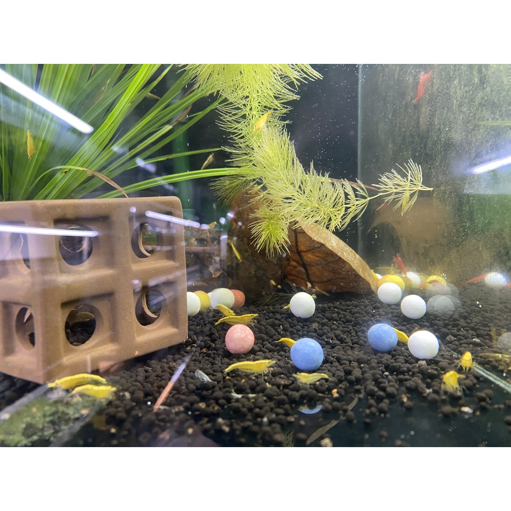 Khoáng Viên Nuôi Tép BEEBALL MINI - Bóng gốm khoáng chất chuyên dụng hồ tép thuỷ sinh