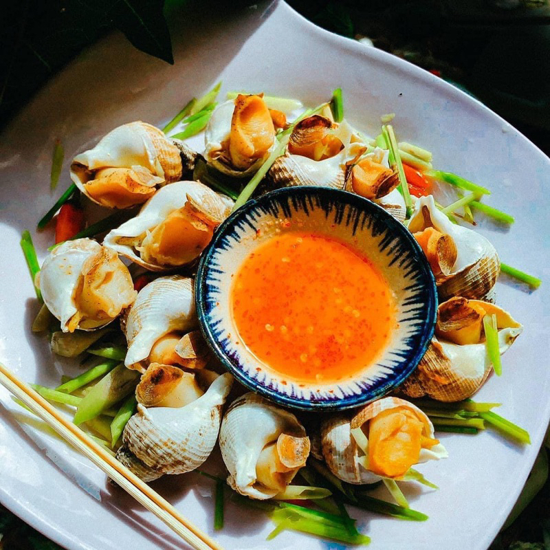 ỐC BULOT PHÁP  SIZE 20-30 con/kg. giá sỉ