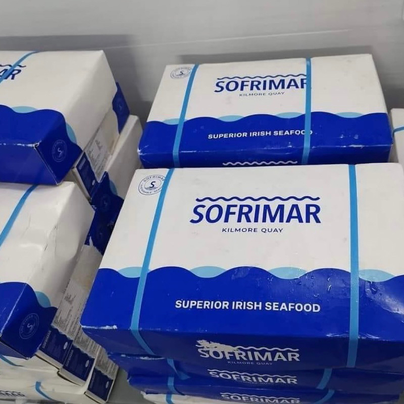 ỐC BULOT PHÁP  SIZE 20-30 con/kg. giá sỉ