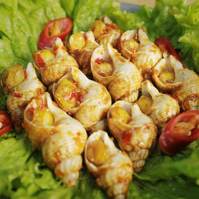 ỐC BULOT PHÁP  SIZE 20-30 con/kg. giá sỉ