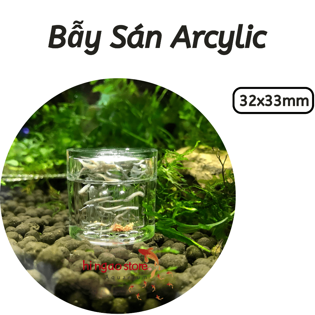 Bẫy sán Acrylic- Bẫy sán hồ tép - Phụ kiện cá cảnh | Hingaostore.