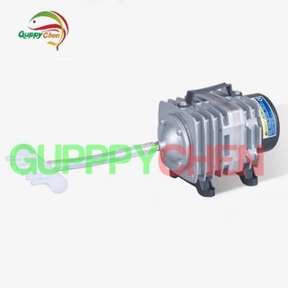 Máy sục oxi ACO 003 35w