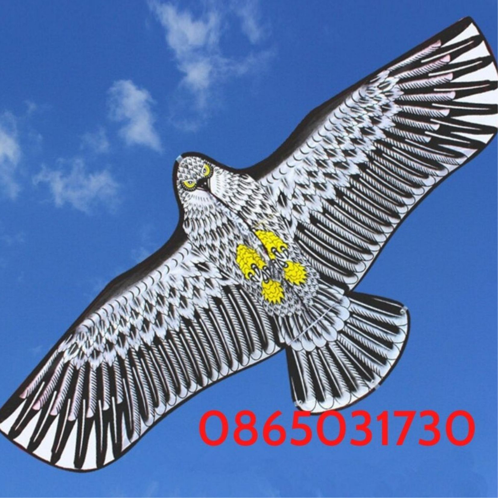 Diều đại bàng 1,6m tặng kèm 70m dây thả diều + túi đựng (diều giá rẻ-độc lạ)