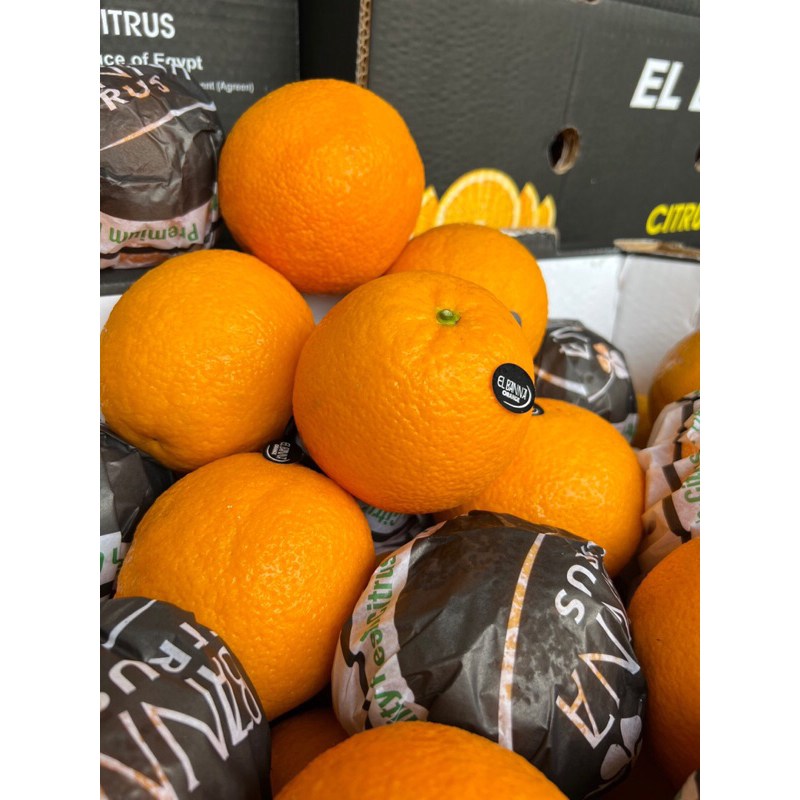 Cam Vàng Nhập khẩu