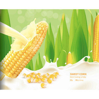 KEM AICE HAIDILAO CÁC LOẠI (NHẬP KHẨU)