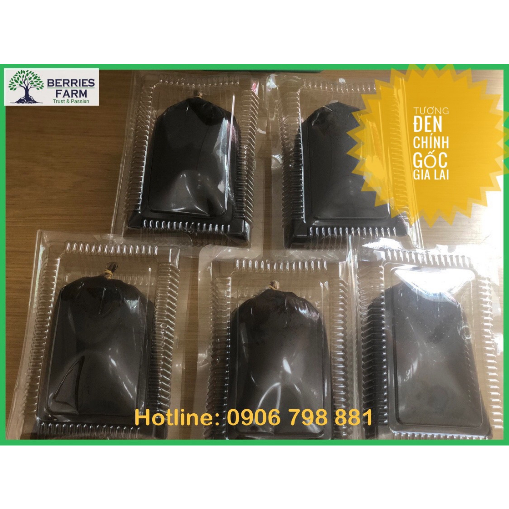 Tương đen trộn Phở khô Gia Lai hủ 100ml dùng kèm 1Kg Phở siêu ngon