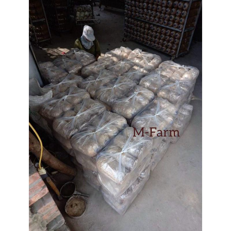 PHÔI NẤM CÁC LOẠI