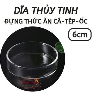 Dĩa thủy tinh đựng thức ăn cho cá, tép - Chén thủy tinh cho tép ăn - Phụ kiện cá cảnh | Hingaostrore.