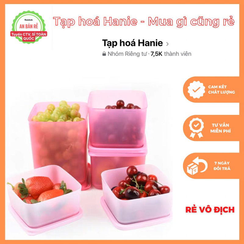 SET TUPPERWARE 5 HỘP SỊN SÒ SẴN FULLBOX