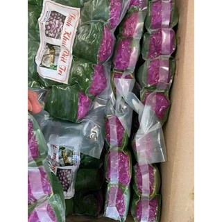 cây cẩm tím bầu rễ ổn định