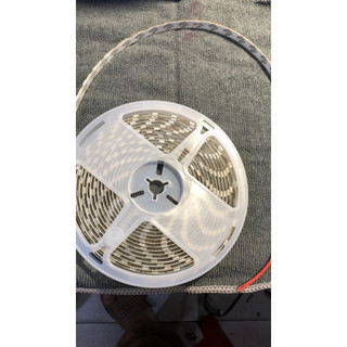 Led Dây Dán 5050 – Cuộn 5M Điện 12V, Siêu Sáng Trang Trí Nhà Cửa
