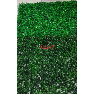 Combo 8 tấm xà lách xoang 247 làm tường cây giả trang trí - Tấm cỏ nhân tạo - Vỉ cỏ nhựa trang trí