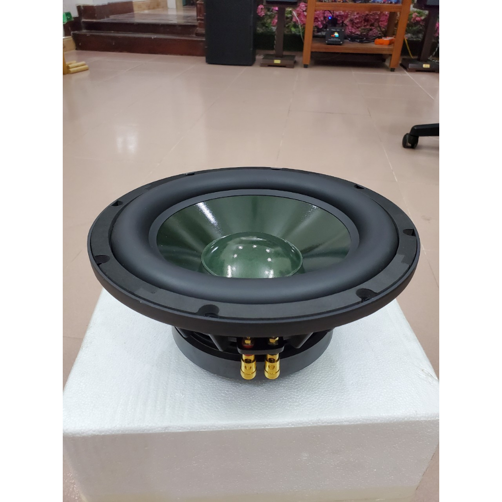 Củ Loa PIONEER Bass 25 P8825 Màng Xanh