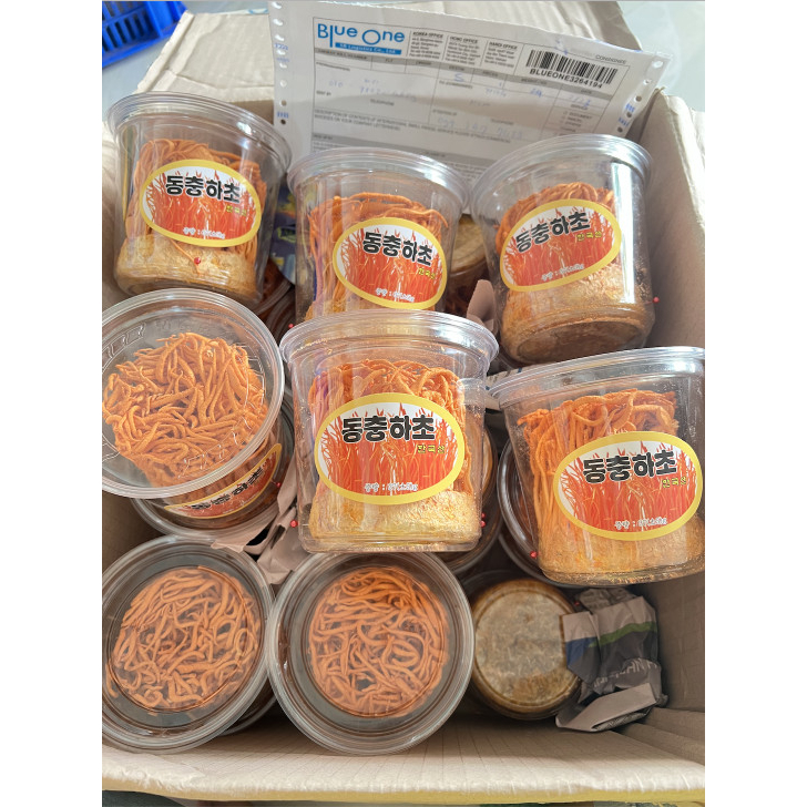 Đông Trùng Hạ Thảo Hàn Quốc - Nấm Đông Trùng Hạ Thảo Hộp 40gr