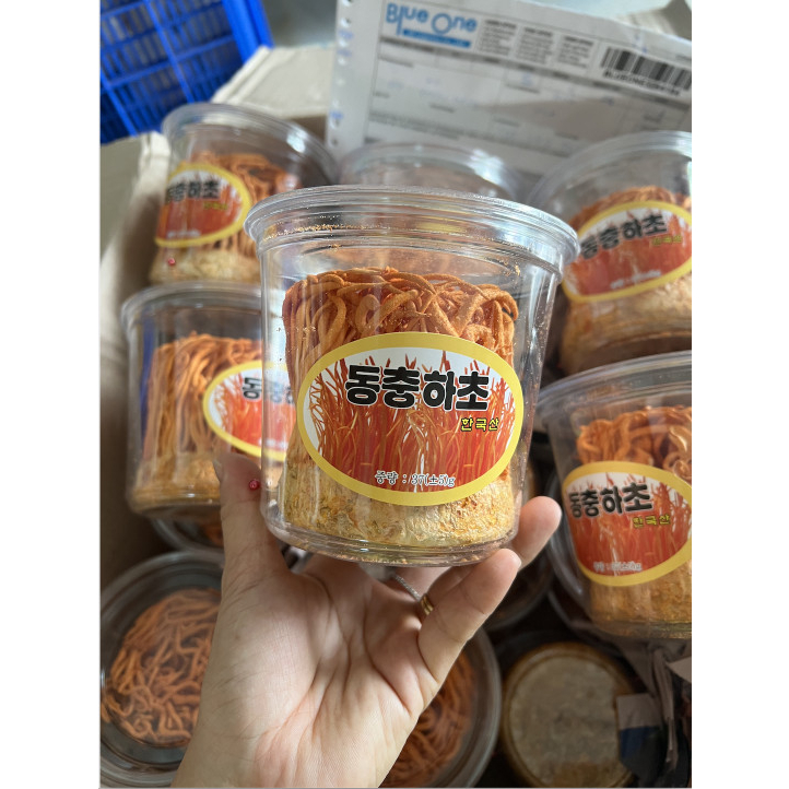 Đông Trùng Hạ Thảo Hàn Quốc - Nấm Đông Trùng Hạ Thảo Hộp 40gr