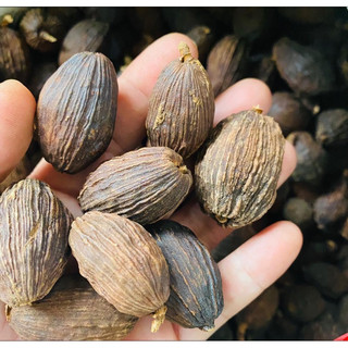 Thảo quả to 1kg