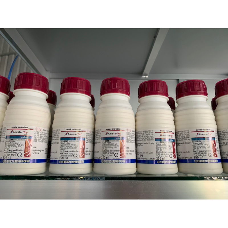 Amistar Top 325SC 250ml - CHÍNH HÃNG SYGENTA