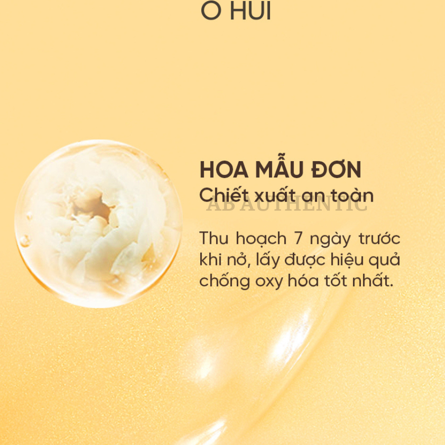 Nước Hoa Hồng Ohui The First Geniture Skin Softener 5ml - AB AUTHENTIC