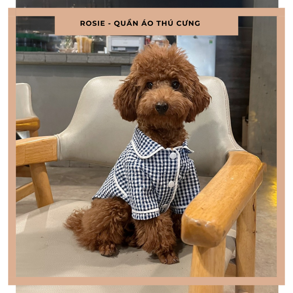 Áo pijama đồ ngủ cho mèo cute nhà Rosie áo ngủ chó mèo kiểu dáng pijama siêu dễ thương siêu ngầu hottrend 2023