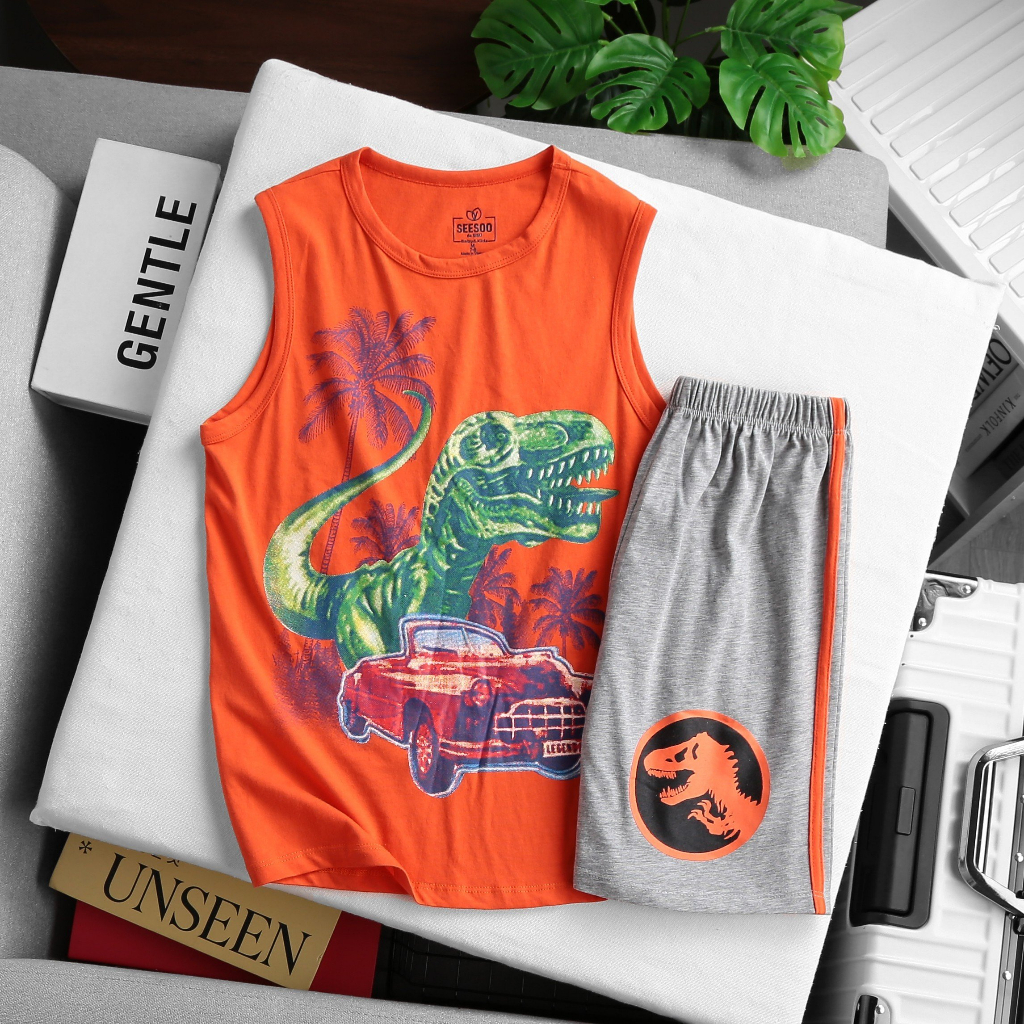 Bộ đồ thun 3 lỗ cho bé trai  100% cotton thoáng mát mùa hè nhiều màu đủ size Nhà Sans | B19