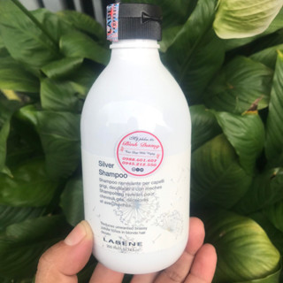 DẦU GỘI KHỬ ÁNH VÀNG CHO TÓC BẠCH KIM - TÓC NHUỘM TONE LẠNH LABENE 300ml (2026)