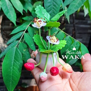 Hoa Đất Sét Mini- Cây Dâu Mini 10cm