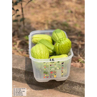 Lẻ hộp Ventsmart 4.4L - Tupperware Chính Hãng