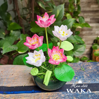 Hoa Đất Sét Mini- Hoa Sen Chậu 5 Bông 12cm
