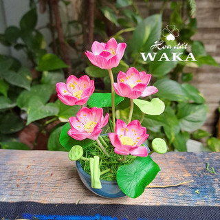 Hoa Đất Sét Mini- Hoa Sen Chậu 5 Bông 12cm