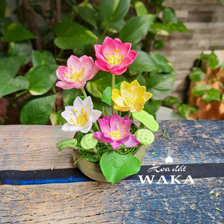 Hoa Đất Sét Mini- Hoa Sen Chậu 5 Bông 12cm