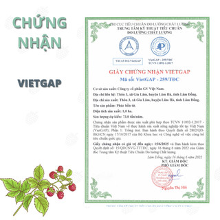 Rượu Phúc Bồn Tử (Mâm xôi ) organic
