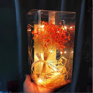 Dây Đèn Led dài 2m trang trí