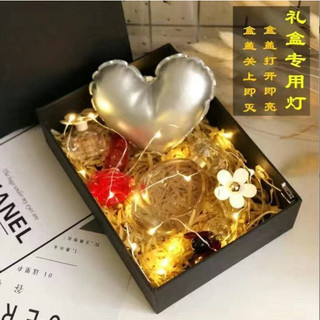 Dây Đèn Led dài 2m trang trí