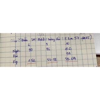 Đầm sơ mi form suông
