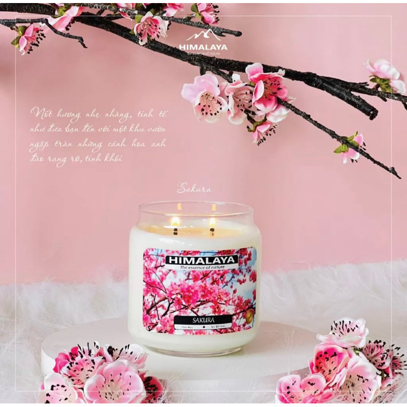 Nến thơm Himalaya hương Sakura 140G/343G/545G
