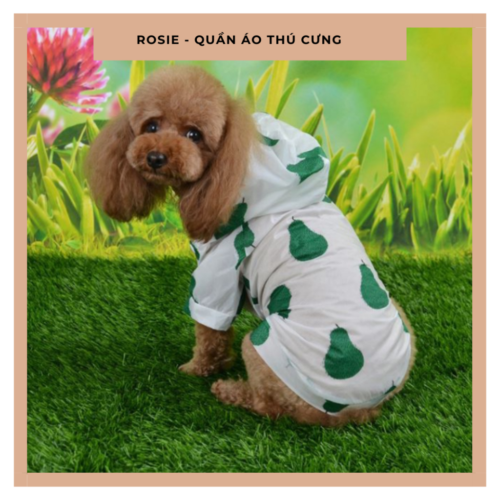 Aó mưa chó mèo siêu dễ thương rosie áo mưa in hình trái lê xanh chất liệu poly siêu mịn cute hotrend 2023