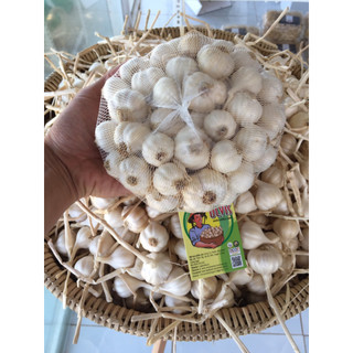 Tỏi khô Lý Sơn OLVIS bịch lưới 500G - Đặc sản Lý Sơn chính gốc.